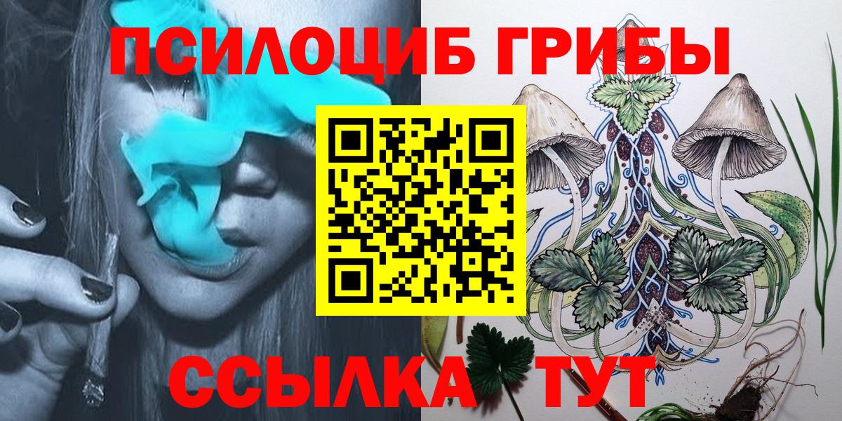 Псилоцибиновые грибы Cubensis  наркошоп  Нижний Тагил  Вход с VPN 